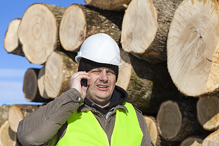伐木工人在木桩附近的手机上说闲话成人保养职业工程师领班承包商梯子安全衣服花园图片