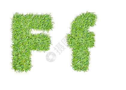 从绿草中按字母顺序排列 孤立在白色上插图艺术生态写作公司植物叶子草原字体按摩图片