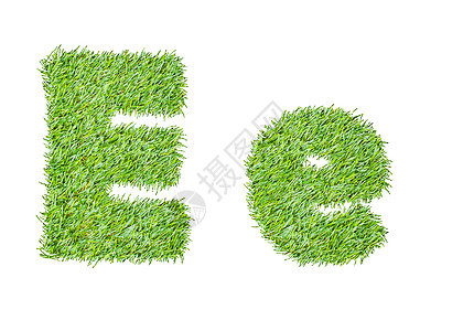 从绿草中按字母顺序排列 孤立在白色上写作字体植物公司草地艺术生长叶子草原创造力图片