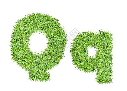 从绿草中按字母顺序排列 孤立在白色上草本植物植物字体草地农业写作公司草原创造力按摩图片