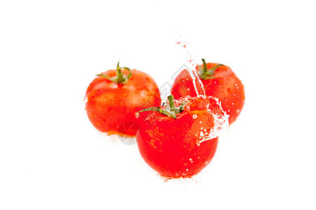 西红柿 白上孤立的西红柿洒水活力叶子食物液体涟漪蔬菜温泉生活运动水果图片