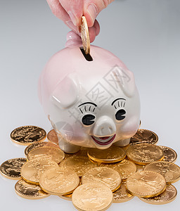 手把金硬币放进小猪银行现金财富金融订金财政盎司储蓄玩具安全货币图片