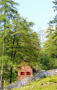 小木屋假期场景花园农村小屋草地植物农场树木乡村图片