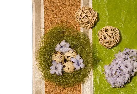 筑巢中的复活蛋和蓝长青鹌鹑假期蓝色传统展示蕨类宗教韧皮季节丝带图片