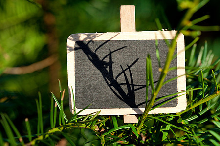 黑色黑板附在林中树枝上森林学习阳光叶子衬套木板太阳季节人行道市场图片