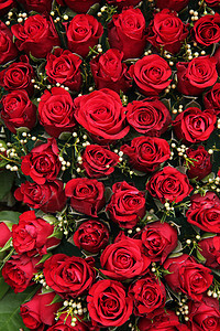 红玫瑰和小白莓中心植物花束婚礼装饰品花朵花店新娘植物群绿色图片