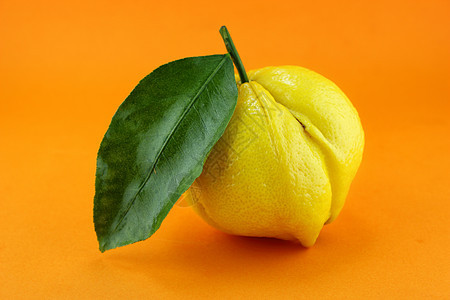 柠檬果汁饮食水果食物疾病橙子叶子工作室热带图片