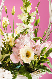 篮子中的花朵庆典雏菊礼物绿色植物群植物婚礼白色玫瑰橙子图片