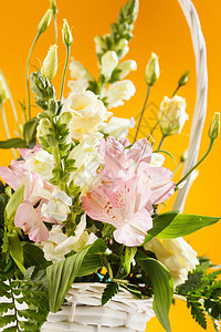 篮子中的花朵植物群玫瑰婚礼白色季节花园花束礼物庆典雏菊图片
