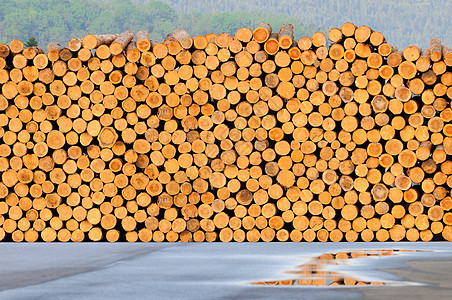成堆的原木堆栈森林木桩木头日志粮食林业工厂树干棕色图片
