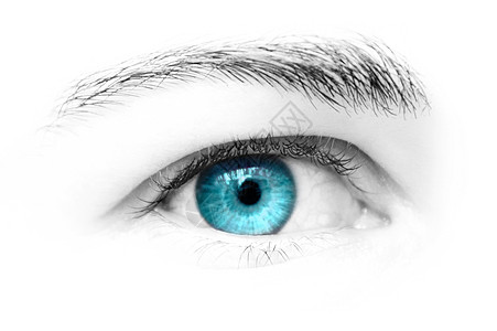 蓝眼睛女性眼皮眼球蓝色瞳孔身体白色光学鸢尾花角膜图片