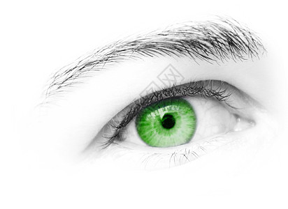 绿眼瞳孔眼球鸢尾花女性光学绿体魅力角膜眼皮白色图片