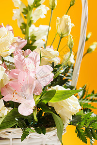 篮子中的花朵植物花束白色婚礼玫瑰绿色花园礼物橙子季节图片