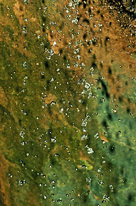 水滴气泡环境反射瀑布液体天气墙纸圆圈绿色科学图片