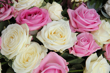 粉红和白白两边花束植物群花店新娘婚姻庆典植物学浪漫植物花朵婚礼图片