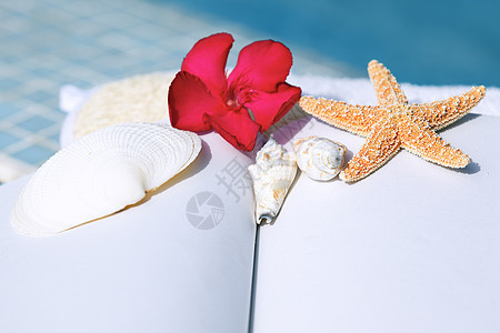 SPA 精神保健疗法奢华岩石卫生毛巾酒吧游泳植物群香味图片