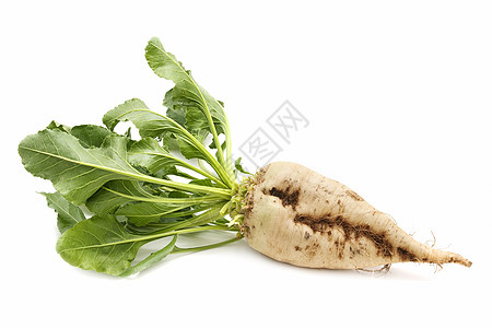 甜菜健康生化生物商业植物农业糖厂食物土豆图片