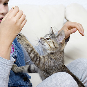 一个女孩在玩小猫乐趣灰色快乐童年女儿眼睛喜悦情怀宠物友谊图片