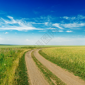 通往云层下地平线的农村公路农田季节晴天天空场地小路土地草原空气植物图片