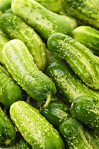 黄瓜背景营养葫芦水果蔬菜生产食物杯子绿色图片
