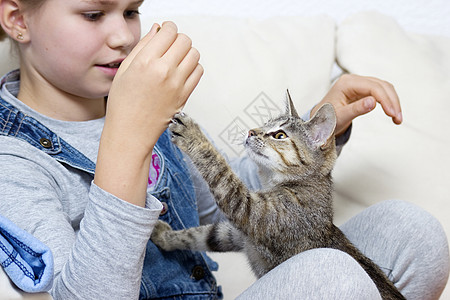 一个女孩在玩小猫喜悦家庭眼睛孩子灰色压痛猫咪宠物女儿女孩图片