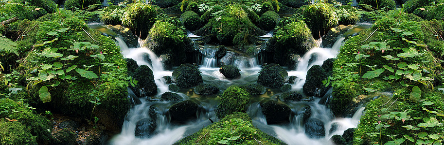 流水的水旅游生态运动荒野石头山脉苔藓远足森林流动图片素材