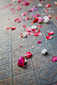 堕落的玫瑰花瓣粉色垃圾玫瑰街道地面花瓣假期脆弱性沥青团体背景图片