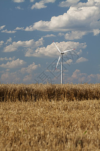 小麦田风力发电机图片