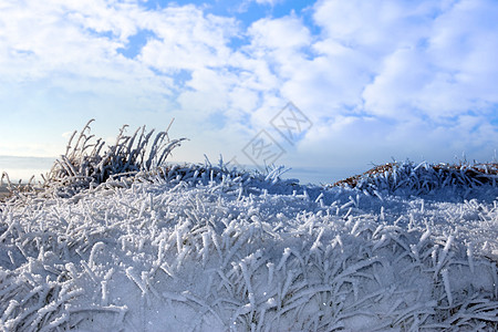 霜雪覆盖了草沟图片