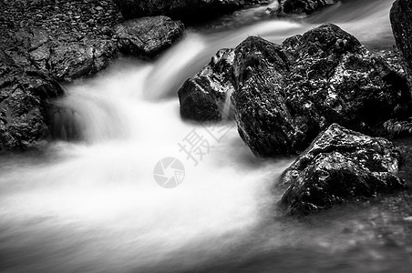 长距离接触快山河照片荒野热带绿色植物岩石叶子溪流黑色白色森林木头图片