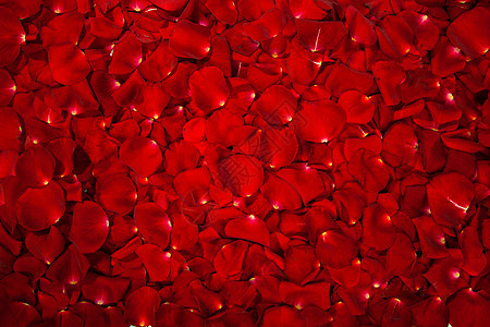 红玫瑰花瓣的背景柔软度马赛克周年宏观丝绸园艺花园香水香味植物群图片