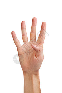 四号手势 白色上隔离的缝合棕榈拍卖展示收藏拇指数字手臂手腕男人无名指图片