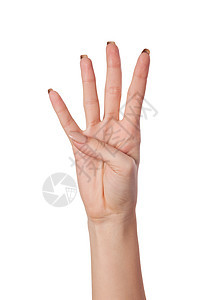 四号手势 白色上隔离的缝合收藏手腕拇指数数无名指女性展示数字手臂拍卖图片