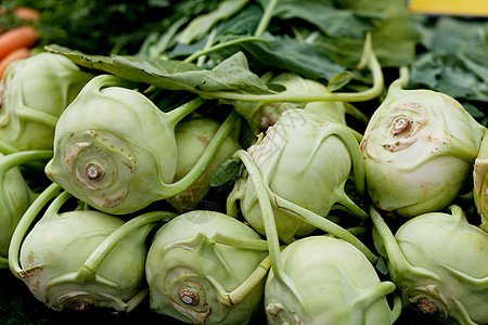 市场上的新鲜绿菜菜菜卷心菜收成叶子农民烹饪农场购物篮子植物营养饮食图片