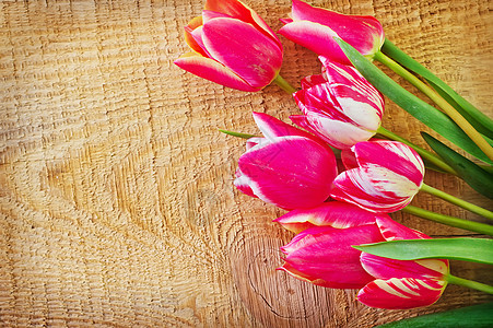 图利页紫色假期郁金香季节花束控制板木头树叶桌子木板图片