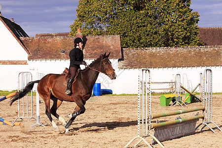 在比赛中骑马的年轻美女骑手手套外套鬃毛骑术马蹄铁女骑手马镫头盔鞭子缰绳图片