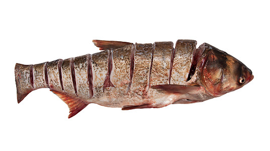 切鱼白色背景上的切片刻痕饮食海鲜海洋生物淡水爱好游泳营养熟食脊椎动物小胡子背景