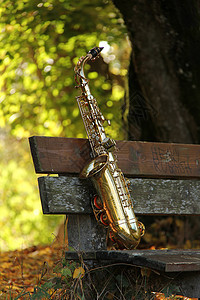古老的希腊式萨克斯季节乐器娱乐树叶黄铜艺术木头艺术家高音蓝调图片