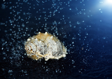 封在水下装饰贝壳水滴宏观蓝色海洋海浪流动洪水飞溅图片