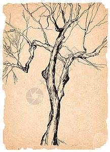 旧树废纸笔绘画图片