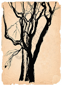 旧树废旧纸笔绘画图片