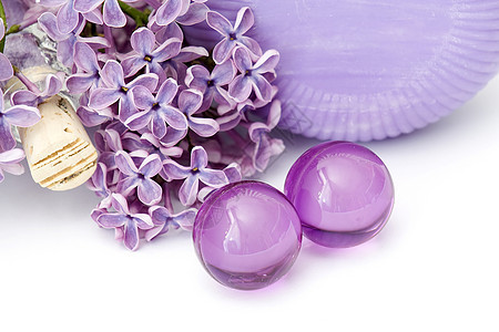 Lilac SPA产品和Lilac花卉图片