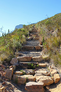 南非桌式山远足路 南非红沙石头风景植物场景森林人行道曲线小路蓝色图片