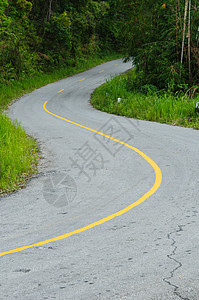 道路曲线驾驶国家白色运输车道黄色乡村森林灰色绿色图片