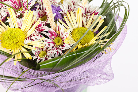 漂亮的鲜花雏菊订婚粉色黄色绿色菊花婚礼棕色母亲礼物图片