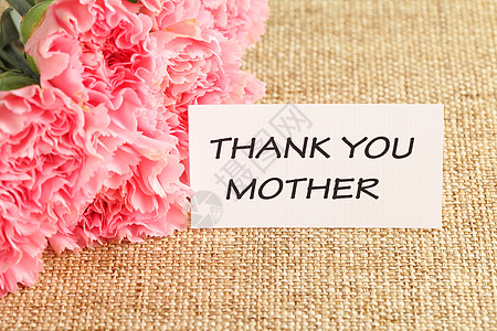 为母亲节送上粉红康乃馨花问候语卡片叶子玫瑰绿色礼物植物标签花束粉色图片