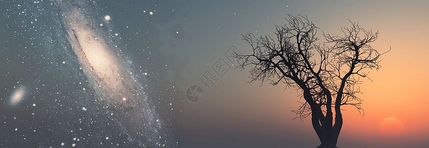 银河背景下的死树 以银河为背景图片