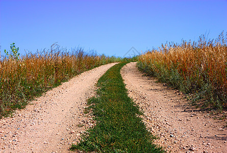 农村道路和蓝天全景植物戏剧性曲线场地土地太阳路线车道树木图片