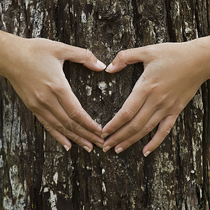 拯救我们的森林植物木头女性庆典木材生态手势约会环境树干图片