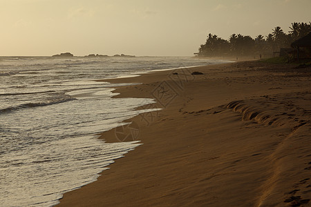 海洋日落假期热带海岸太阳棕榈天空场景海滩波浪地平线图片